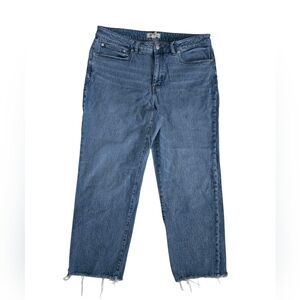 Madewell 90's Plus Curvy Size 16W Straight Leg  Blue Women's Jeans